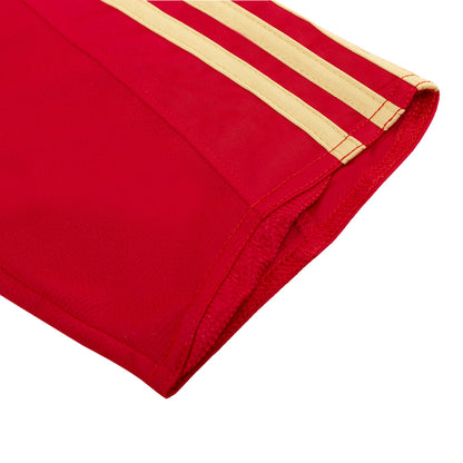 Retro Espagne Domicile Maillot 2008